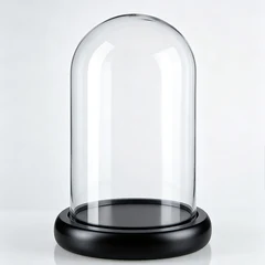 Display case